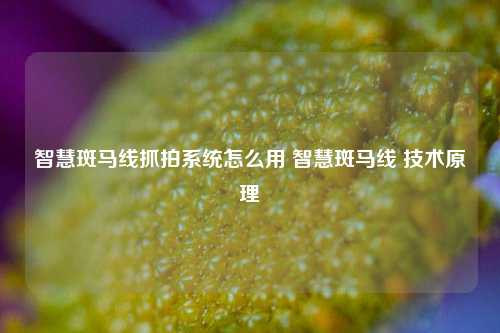 智慧斑马线抓拍系统怎么用 智慧斑马线 技术原理