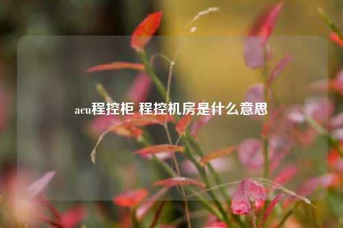 acu程控柜 程控机房是什么意思