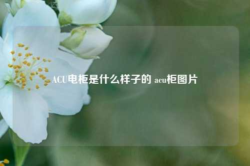 ACU电柜是什么样子的 acu柜图片