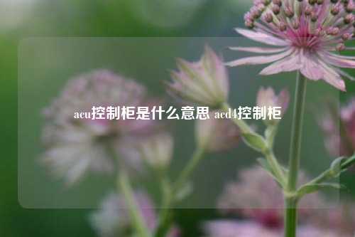 acu控制柜是什么意思 acd4控制柜