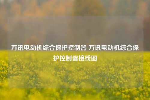 万讯电动机综合保护控制器 万讯电动机综合保护控制器接线图