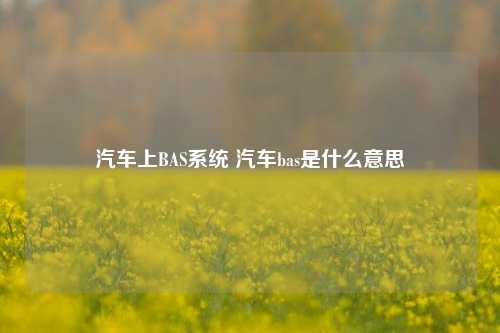 汽车上BAS系统 汽车bas是什么意思