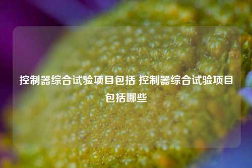 控制器综合试验项目包括 控制器综合试验项目包括哪些