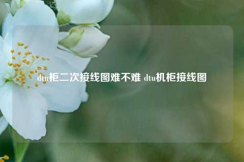 dtu柜二次接线图难不难 dtu机柜接线图