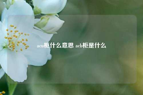 acu柜什么意思 acb柜是什么