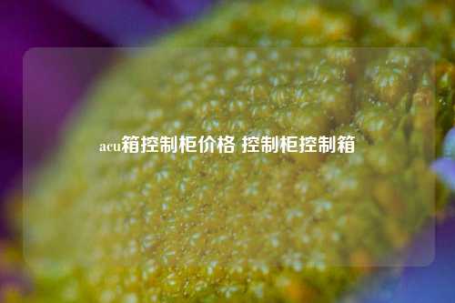 acu箱控制柜价格 控制柜控制箱