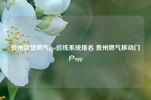 贵州智慧燃气gps巡线系统排名 贵州燃气移动门户app