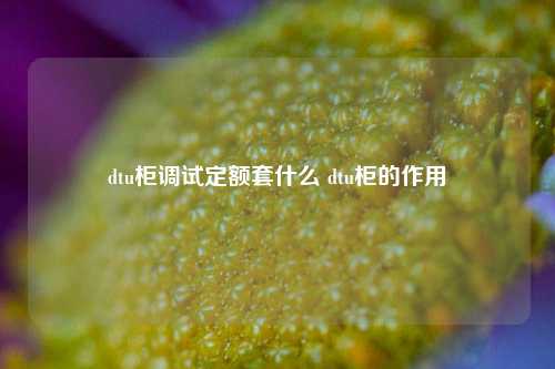 dtu柜调试定额套什么 dtu柜的作用