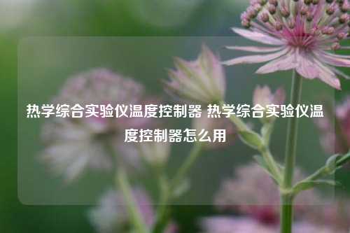 热学综合实验仪温度控制器 热学综合实验仪温度控制器怎么用