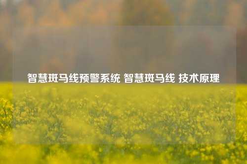 智慧斑马线预警系统 智慧斑马线 技术原理