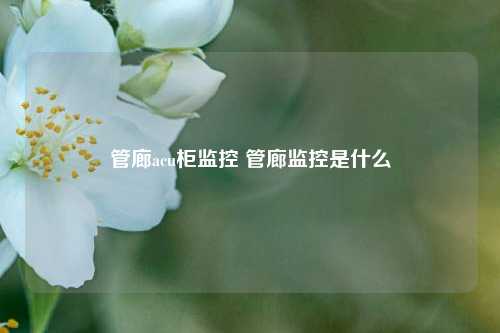 管廊acu柜监控 管廊监控是什么