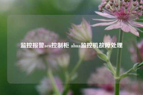 监控报警acu控制柜 ahua监控机故障处理