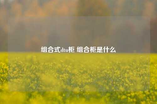 组合式dtu柜 组合柜是什么