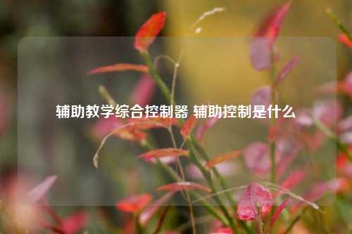 辅助教学综合控制器 辅助控制是什么