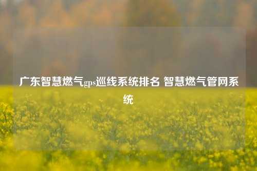 广东智慧燃气gps巡线系统排名 智慧燃气管网系统