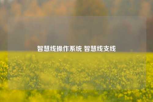 智慧线操作系统 智慧线支线