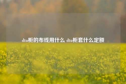 dtu柜的布线用什么 dtu柜套什么定额