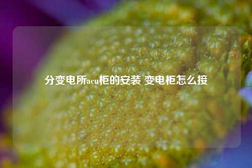 分变电所acu柜的安装 变电柜怎么接