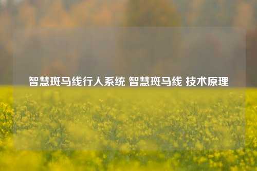 智慧斑马线行人系统 智慧斑马线 技术原理