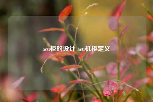 acu柜的设计 acu机柜定义