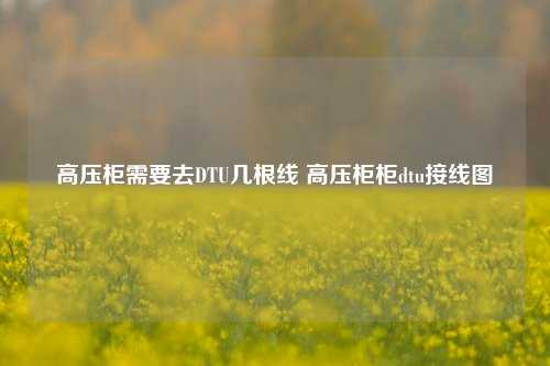 高压柜需要去DTU几根线 高压柜柜dtu接线图