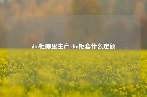 dtu柜哪里生产 dtu柜套什么定额