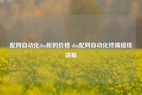 配网自动化dtu柜的价格 dtu配网自动化终端接线讲解