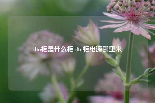 dtu柜是什么柜 dtu柜电源哪里来