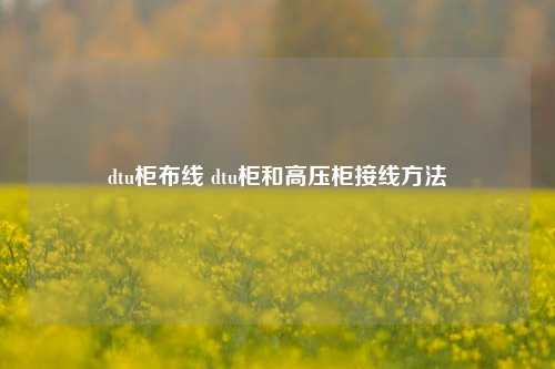 dtu柜布线 dtu柜和高压柜接线方法