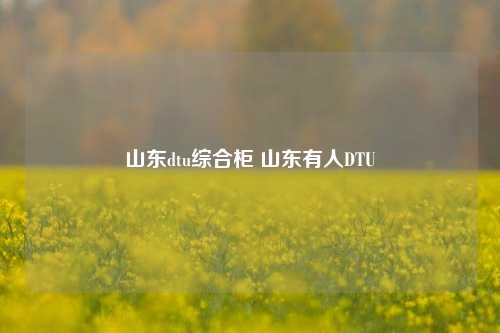 山东dtu综合柜 山东有人DTU