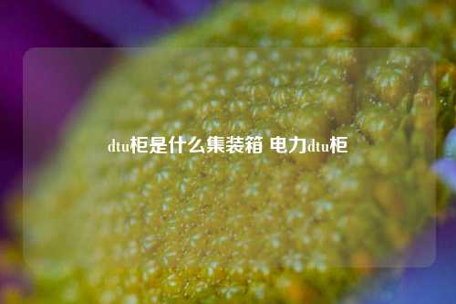 dtu柜是什么集装箱 电力dtu柜