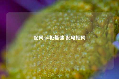 配网dtu柜基础 配电柜网