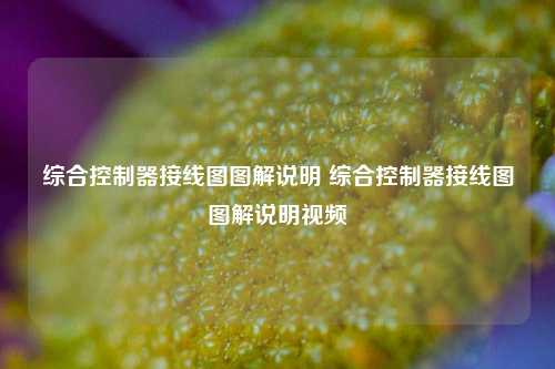 综合控制器接线图图解说明 综合控制器接线图图解说明视频