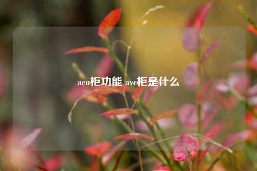 acu柜功能 avc柜是什么