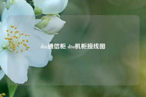 dtu通信柜 dtu机柜接线图