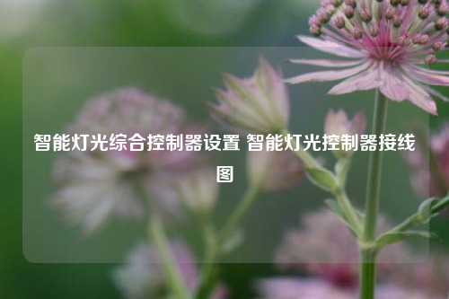 智能灯光综合控制器设置 智能灯光控制器接线图