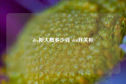 dtu柜大概多少钱 dtu开关柜