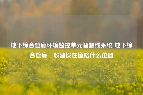 地下综合管廊环境监控单元智慧线系统 地下综合管廊一般建设在道路什么位置