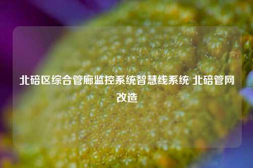 北碚区综合管廊监控系统智慧线系统 北碚管网改造