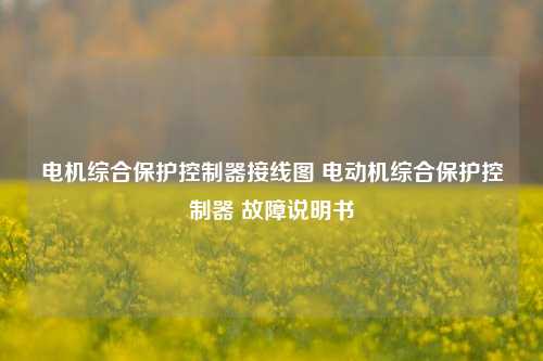 电机综合保护控制器接线图 电动机综合保护控制器 故障说明书